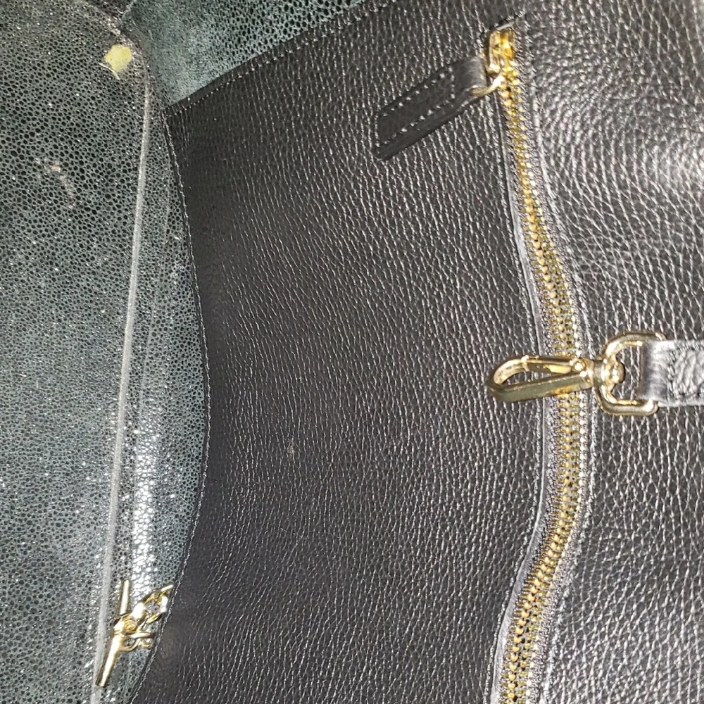 Mario Valentino Xl Sophie Tote Bag